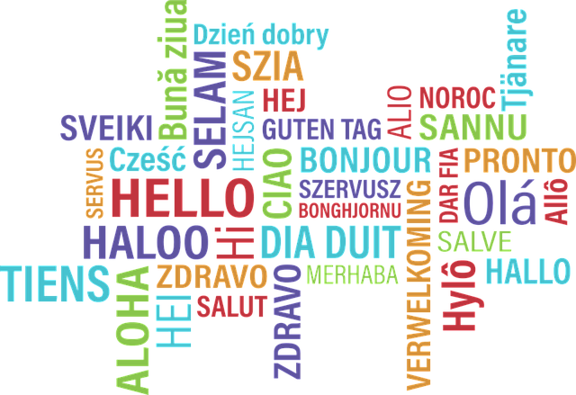 File:Language.png