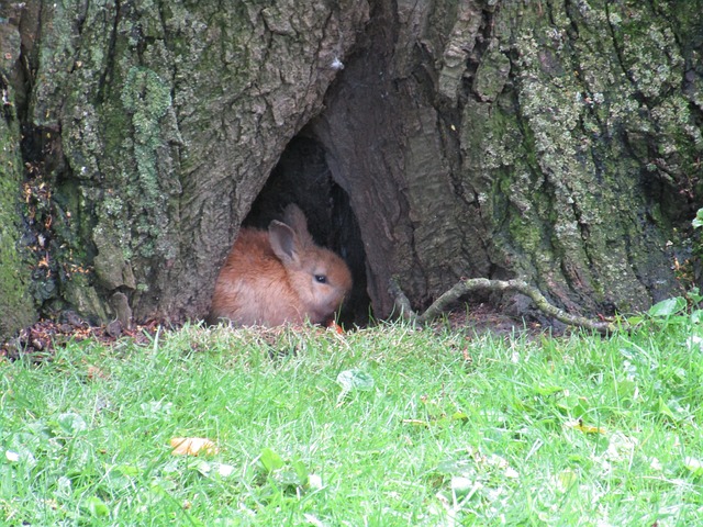File:IP Hiding outdated123.jpg